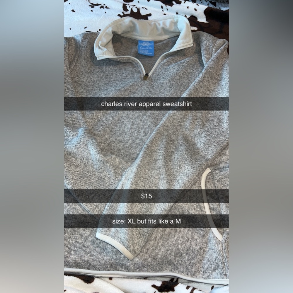 Charles River Apparel Sweatshirt